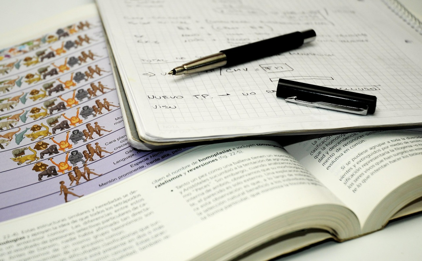 2026年iHOSA中国站报名正式开启！参赛时间、地点、组别全解析！