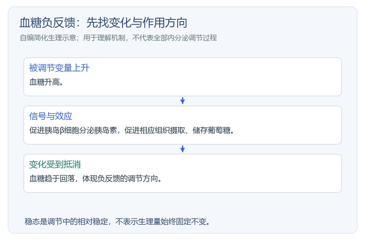 HOSA生物人体生理知识怎么整理：自编学习示意